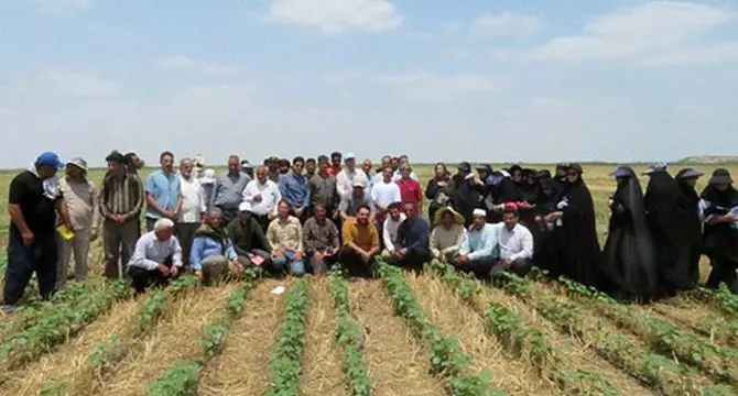 برگزاری کارگاه آموزشی کشاورزی حفاظتی برای کشاورزان اصفهانی

