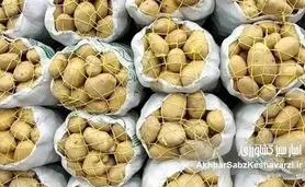 سیب‌زمینی ارزان شد؟ سقف قیمت جدید اعلام شد!