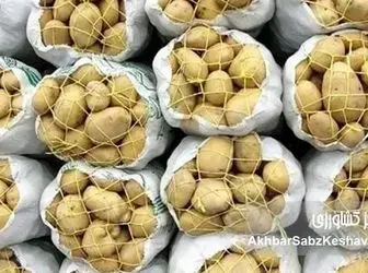 سیب‌زمینی ارزان شد؟ سقف قیمت جدید اعلام شد!