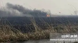  آتش‌سوزی هور؛ بخش عراقی تالاب هورالعظیم ۴ ماهه می‌سوزد/تشدید بحران تنفسی