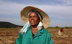 افزایش سازگاری با اقلیم در کشاورزی در آفریقا جنوبی