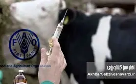 خطر تب برفکی با سروتیپ SAT1 در راه بود؛ خواب زمستانی وزارت کشاورزی و دامپزشکی کشور+ نامه