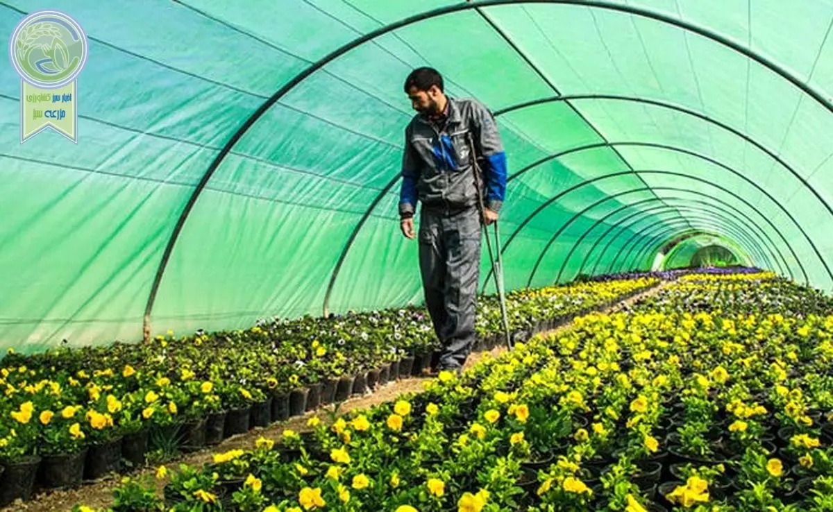 جهش ۱۶۱ درصدی کشت گلخانه ای در کشور طی یک دهه اخیر