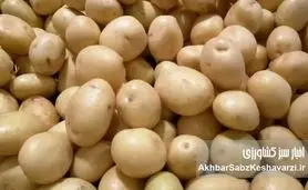  صادرات «سیب‌زمینی» پرمصرف به‌طور کامل ممنوع شد