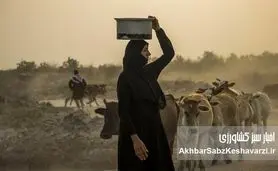 بی‌آبی خوزستان؛ زنان و کودکان در صف آب زیر گرمای ۵۰ درجه