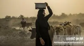 بی‌آبی خوزستان؛ زنان و کودکان در صف آب زیر گرمای ۵۰ درجه