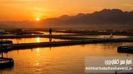 طلای سبز از دل ضایعات؛ انقلاب زیست‌پلاستیک در مزارع ایران