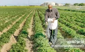بحران خاموش در کشاورزی ایران؛ افزایش قیمت کود و سم، تهدیدی برای امنیت غذایی کشور