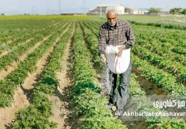 بحران خاموش در کشاورزی ایران؛ افزایش قیمت کود و سم، تهدیدی برای امنیت غذایی کشور