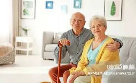 پروتئین: کلید طلایی جوانی و شادابی در دوران سالمندی