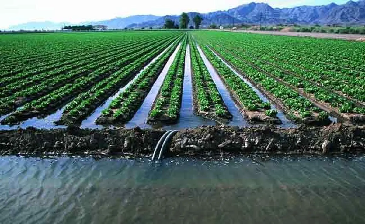 آب و اهمیت آن در تصمیمات حوزه کشاورزی

