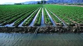 آب و اهمیت آن در تصمیمات حوزه کشاورزی

