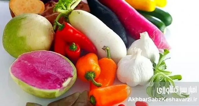با اضطراب خداحافظی کنید: ۱۰ غذای شگفت‌انگیز که حالتان را خوب می‌کنند