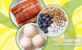 غذاهای نسل جدید: انقلابی در تغذیه مدرن؛ راهی به سوی آینده‌ای سالم‌تر و پایدارتر