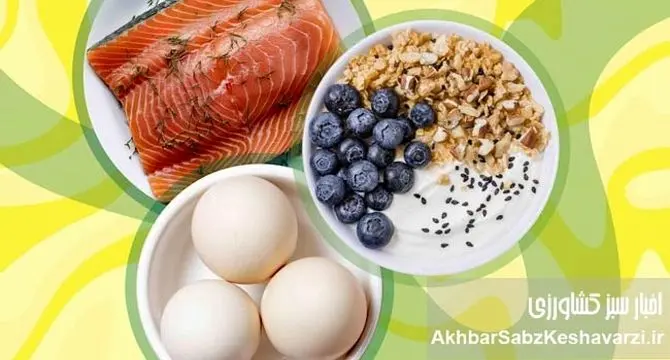 غذاهای نسل جدید: انقلابی در تغذیه مدرن؛ راهی به سوی آینده‌ای سالم‌تر و پایدارتر