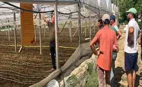 توانمندسازی کشاورزان گلخانه‌ای در آلبانی