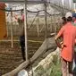 توانمندسازی کشاورزان گلخانه‌ای در آلبانی