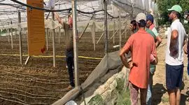 توانمندسازی کشاورزان گلخانه‌ای در آلبانی