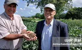بازدید کشاورز پیشرو لرستان از مزرعه کشت حفاظتی سویای برادران کشیری در گلستان+ ویدئو