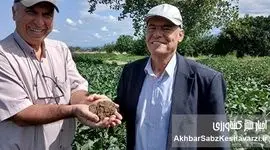 بازدید کشاورز پیشرو لرستان از مزرعه کشت حفاظتی سویای برادران کشیری در گلستان+ ویدئو