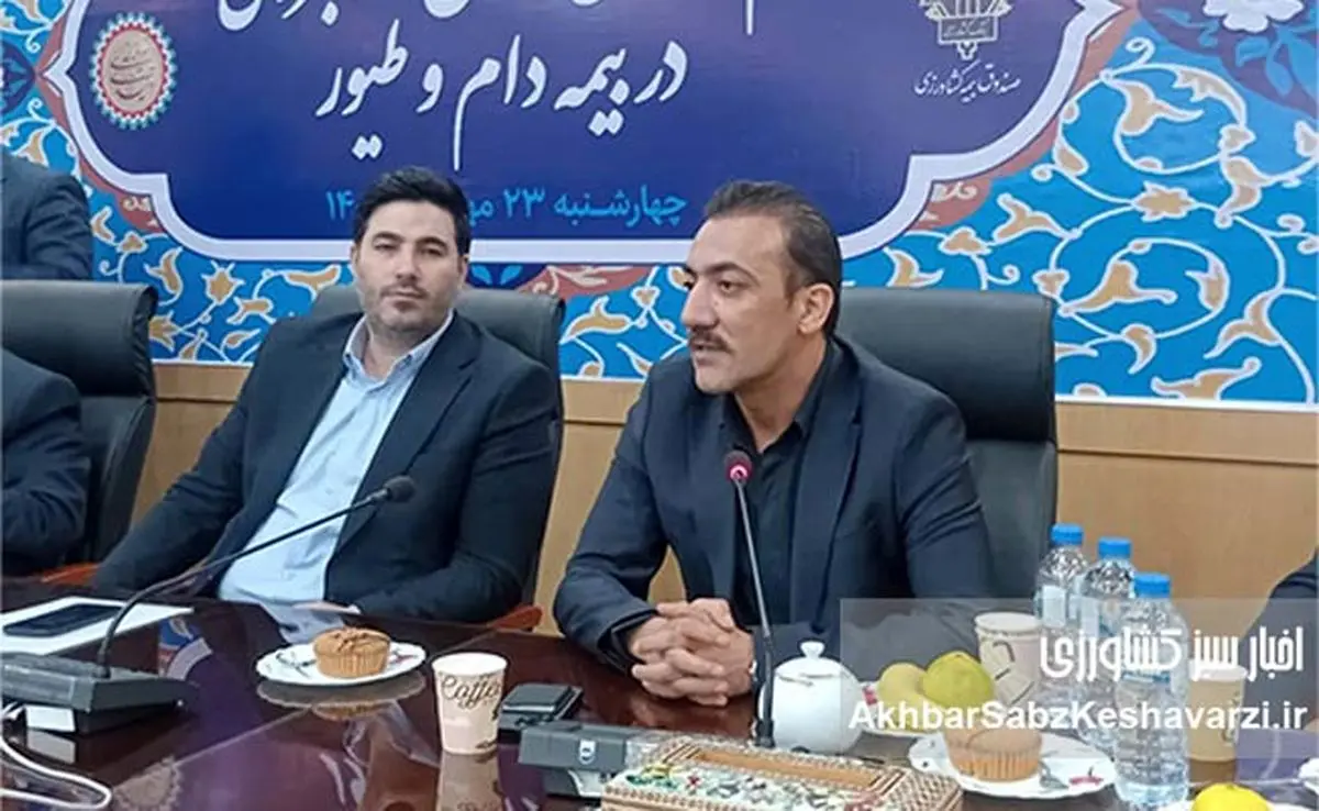 تحول در صنعت مرغ تخمگذار ایران؛ از وابستگی تا خودکفایی مالی با بیمه کشاورزی