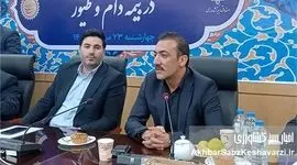 تحول در صنعت مرغ تخم‌گذار ایران؛ از وابستگی تا خودکفایی مالی با بیمه کشاورزی