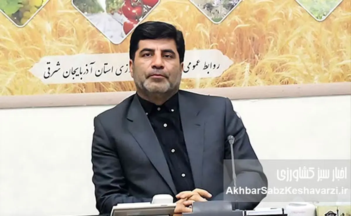 کاهش قیمت تمام‌شده تولید کشاورزی؛ راهکارهای عملی برای اقتصاد پایدار