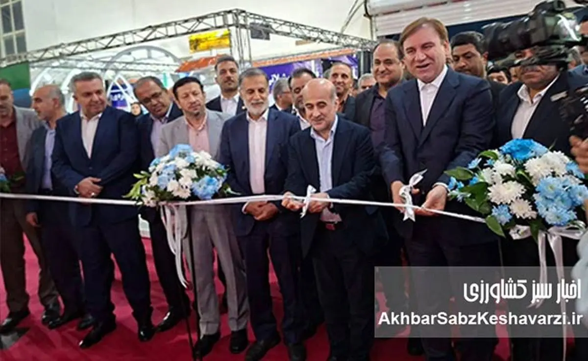 اقتصاد آینده ایران ناگزیر به سمت دریا حرکت می‌کند/ شیلات فقط ماهی و میگو نیست+ویدئو