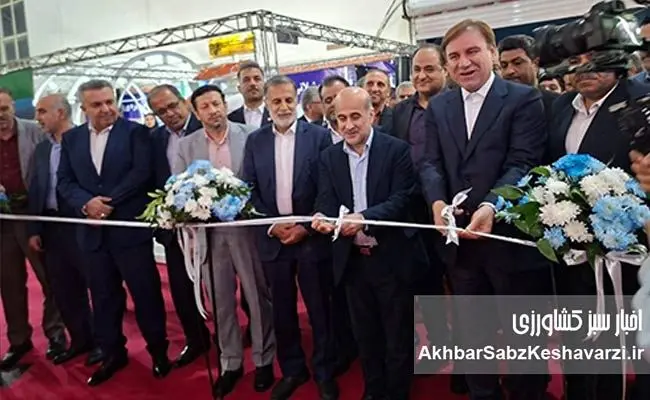 اقتصاد آینده ایران ناگزیر به سمت دریا حرکت می‌کند/ شیلات فقط ماهی و میگو نیست+ویدئو