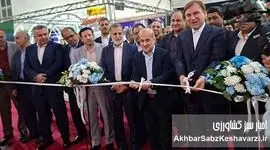 اقتصاد آینده ایران ناگزیر به سمت دریا حرکت می‌کند/ شیلات فقط ماهی و میگو نیست+ویدئو