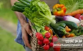 غذاهای فصلی: راز تقویت ایمنی بدن و تعادل در هر فصل | راهنمای تغذیه طبیعی