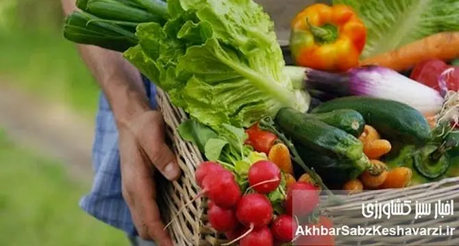 غذاهای فصلی: راز تقویت ایمنی بدن و تعادل در هر فصل | راهنمای تغذیه طبیعی