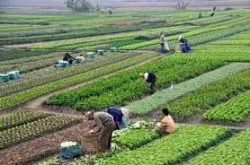 نحوه دسترسی به منابع مالی بخش خصوصی برای توسعه کشاورزی