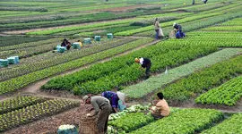 نحوه دسترسی به منابع مالی بخش خصوصی برای توسعه کشاورزی