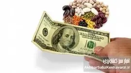 گرانی حبوبات، کمر مردم را خم کرد