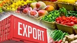 رشد 28 درصدی صادرات محصولات کشاورزی در بهار امسال

