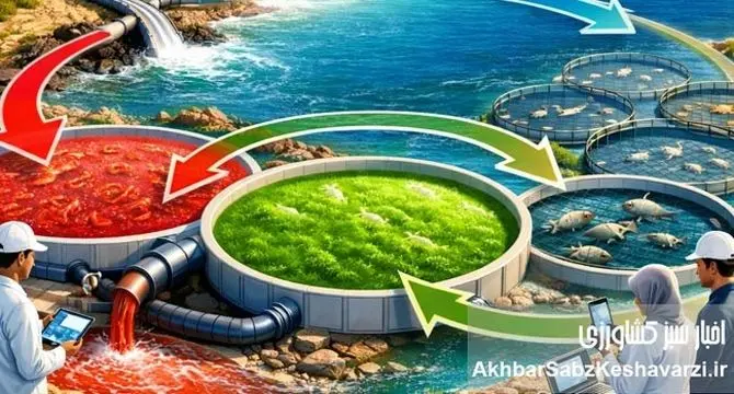 اصلاح نژاد آبزیان و رسالت شیلات ایران در مسیر تحقق امنیت غذایی و توسعه پایدار