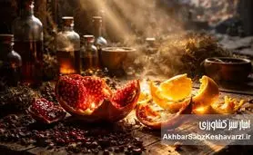 قدرت پنهان پوست انار در مهار عفونت‌های در دوران بحران