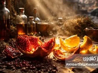 قدرت پنهان پوست انار در مهار عفونت‌های در دوران بحران