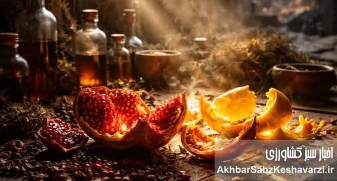 قدرت پنهان پوست انار در مهار عفونت‌های در دوران بحران