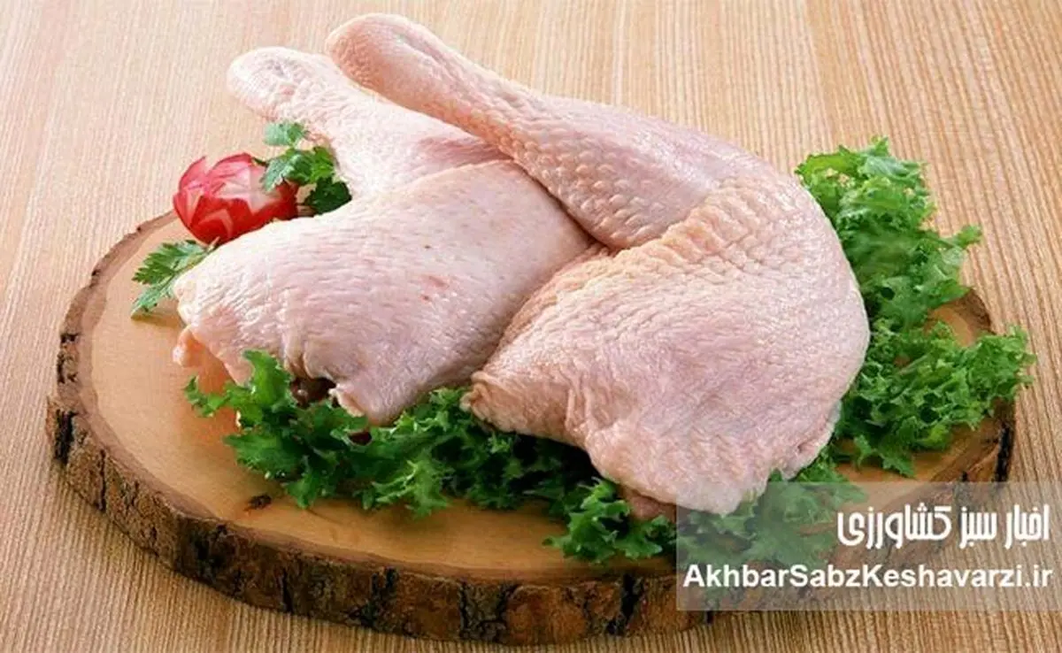 ۱۴۵ هزار تومان هزینه تولید یک کیلو مرغ؛ هشدار جدی برای آینده بازار

