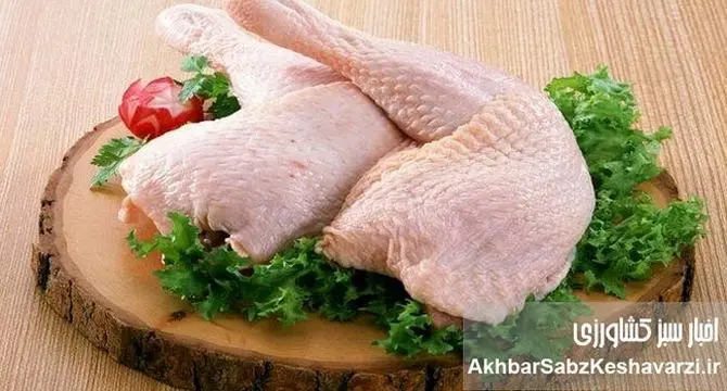 ۱۴۵هزار تومان هزینه تولید یک کیلو مرغ؛ هشدار جدی برای آینده بازار