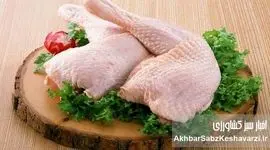 ۱۴۵هزار تومان هزینه تولید یک کیلو مرغ؛ هشدار جدی برای آینده بازار