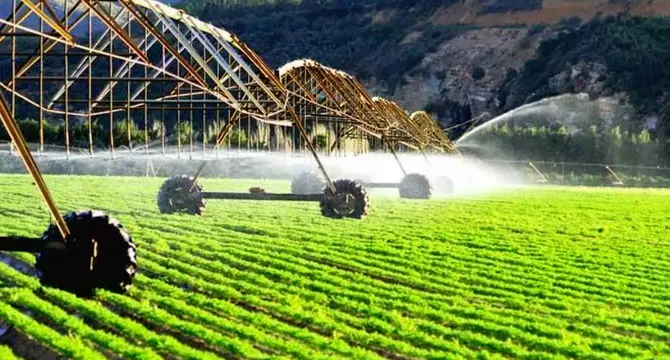 توافق همکاری آمریکا و ازبکستان در کشاورزی پیشرفته