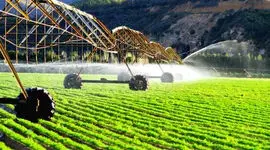 توافق همکاری آمریکا و ازبکستان در کشاورزی پیشرفته