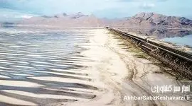 دریاچه ارومیه؛ آینه اقلیمی ایران: سوگی جمعی یا فرصتی برای احیا؟
