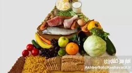 تغذیه سالم: آیا واقعاً به مکمل‌ها نیاز دارید؟ بشقاب‌تان را اصلاح کنید!