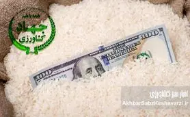 امنیت غذایی کشور دچار چالش شده است؛ مواظب نفوذی ها باشیم+ نامه