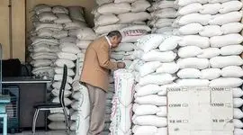 معاون وزیر جهاد کشاورزی: واسطه‌ها بازار برنج را بیمار کرده‌اند