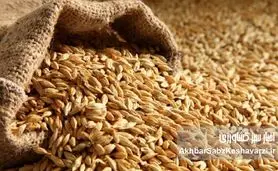 تامین و توزیع نهاده ها اما،بازار مرغ و تخم مرغ در وضعیت شکننده